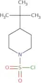 4-tert-Butylpiperidine-1-sulfonyl chloride
