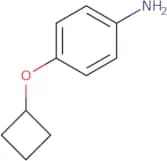 4-Cyclobutoxyaniline
