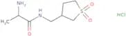 2-Amino-N-[(1,1-dioxo-1λ6-thiolan-3-yl)methyl]propanamide hydrochloride