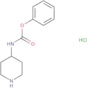 Phenyl N-(piperidin-4-yl)carbamate hydrochloride