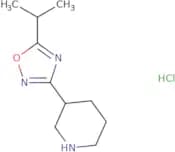 3-[5-(Propan-2-yl)-1,2,4-oxadiazol-3-yl]piperidine hydrochloride