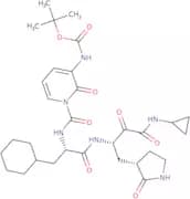 (bS,3S) b-[[(2S)-3-Cyclohexyl- 1- oxo- 2- [3-tert.butyloxycarbonylamino-2-oxo-pyridinyl] propyl] a…
