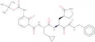 (bS,3S) b-[[(2S)-3-Cyclopropyl- 1- oxo- 2- [3-tert.butyloxycarbonylamino-2-oxo-pyridinyl] propyl] …
