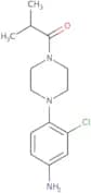 [3-Chloro-4-(4-isobutyrylpiperazin-1-yl)phenyl]amine - Bio-X ™