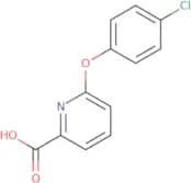 6-(4-Chlorophenoxy)pyridine-2-carboxylic acid