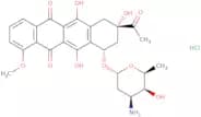 Daunorubicin HCl - Bio-X ™