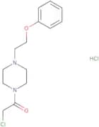 2-Chloro-1-[4-(2-phenoxyethyl)piperazin-1-yl]ethan-1-one hydrochloride