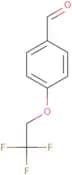 4-(2,2,2-Trifluoroethoxy)benzaldehyde