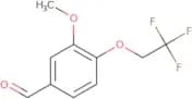 3-Methoxy-4-(2,2,2-trifluoroethoxy)benzaldehyde