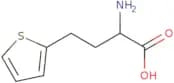 2-Amino-4-(thiophen-2-yl)butanoic acid