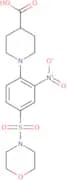1-[4-(Morpholine-4-sulfonyl)-2-nitrophenyl]piperidine-4-carboxylic acid