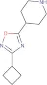 4-(3-Cyclobutyl-1,2,4-oxadiazol-5-yl)piperidine
