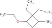 3-Ethoxy-2,2-diethylcyclobutan-1-amine