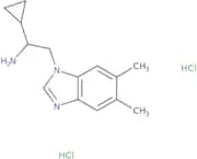 1-Cyclopropyl-2-(5,6-dimethyl-1H-1,3-benzodiazol-1-yl)ethan-1-amine dihydrochloride