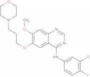 Gefitinib - Bio-X ™