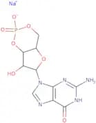 cGMP sodium salt - Bio-X ™