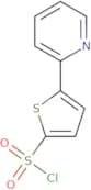 5-(2-Pyridyl)thiophene-2-sulfonyl chloride