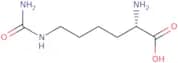 L-Homocitrulline - Bio-X ™