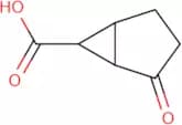 2-Oxobicyclo[3.1.0]hexane-6-carboxylic acid