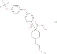 SD 2590 hydrochloride