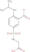 2-{3-Nitro-4-[(propan-2-yl)amino]benzenesulfonamido}acetic acid