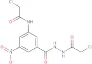 2-Chloro-N-{3-[N'-(2-chloroacetyl)hydrazinecarbonyl]-5-nitrophenyl}acetamide