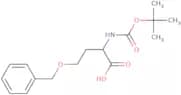 Boc-DL-Hse(Bzl)-OH
