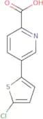 5-(5-Chlorothiophen-2-yl)pyridine-2-carboxylic acid
