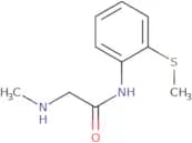 2-(Methylamino)-N-[2-(methylsulfanyl)phenyl]acetamide