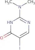 2-(Dimethylamino)-5-iodo-3,4-dihydropyrimidin-4-one