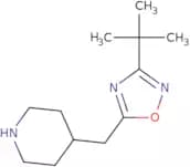 4-[(3-tert-Butyl-1,2,4-oxadiazol-5-yl)methyl]piperidine