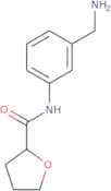 N-[3-(Aminomethyl)phenyl]oxolane-2-carboxamide