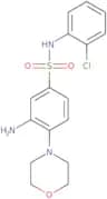 3-Amino-N-(2-chlorophenyl)-4-(morpholin-4-yl)benzene-1-sulfonamide