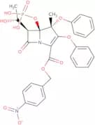 Proteinase K - from Candida albicans