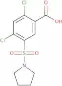 2,4-Dichloro-5-(pyrrolidine-1-sulfonyl)benzoic acid