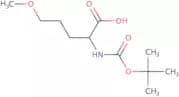 2-{[(tert-Butoxy)carbonyl]amino}-5-methoxypentanoic acid