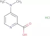 4-(Dimethylamino)pyridine-2-carboxylic acid hydrochloride