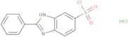 2-Phenyl-1H-1,3-benzodiazole-5-sulfonyl chloride hydrochloride