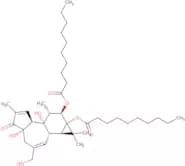 4±-Phorbol 12,13-didecanoate