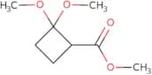 Methyl 2,2-dimethoxycyclobutane-1-carboxylate