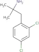 1-(2,4-Dichlorophenyl)-2-methylpropan-2-amine