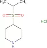 4-(Propane-2-sulfonyl)piperidine hydrochloride