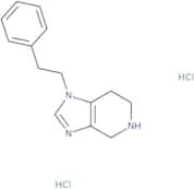 1-(2-Phenylethyl)-1H,4H,5H,6H,7H-imidazo[4,5-c]pyridine dihydrochloride