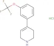 4-[3-(Trifluoromethoxy)phenyl]-1,2,3,6-tetrahydropyridine hydrochloride