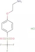 1-(2-Aminoethoxy)-4-trifluoromethanesulfonylbenzene hydrochloride