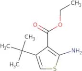 Ethyl 2-amino-4-tert-butylthiophene-3-carboxylate