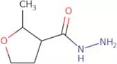 2-Methyloxolane-3-carbohydrazide