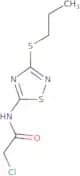 2-Chloro-N-[3-(propylsulfanyl)-1,2,4-thiadiazol-5-yl]acetamide