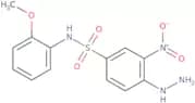 4-Hydrazinyl-N-(2-methoxyphenyl)-3-nitrobenzene-1-sulfonamide
