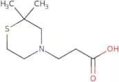3-(2,2-Dimethylthiomorpholin-4-yl)propanoic acid